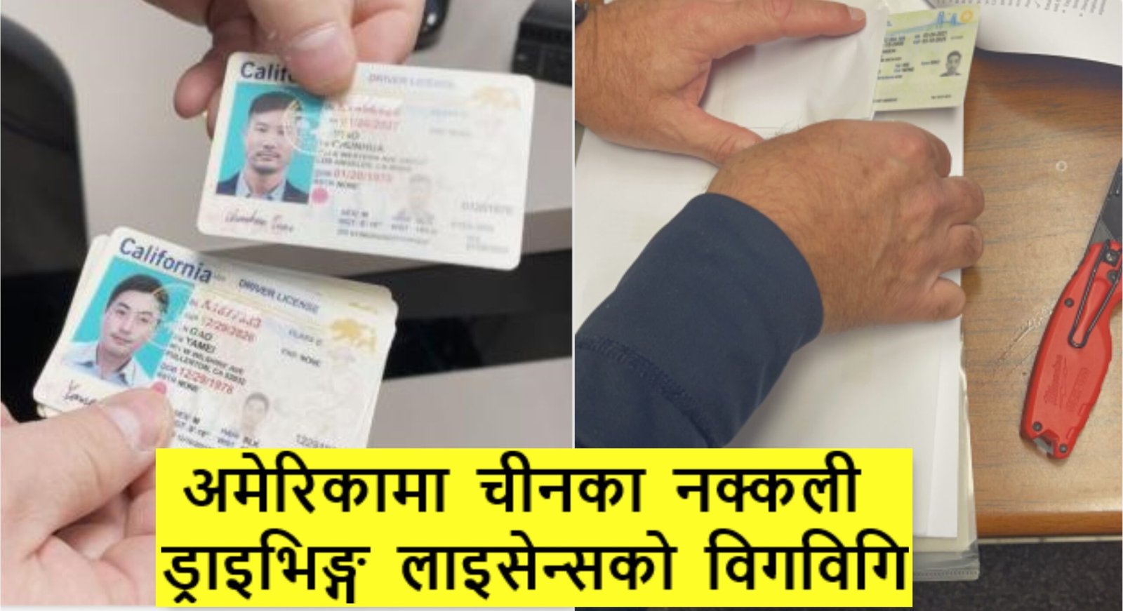 fake id fake id