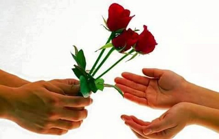 flower-1