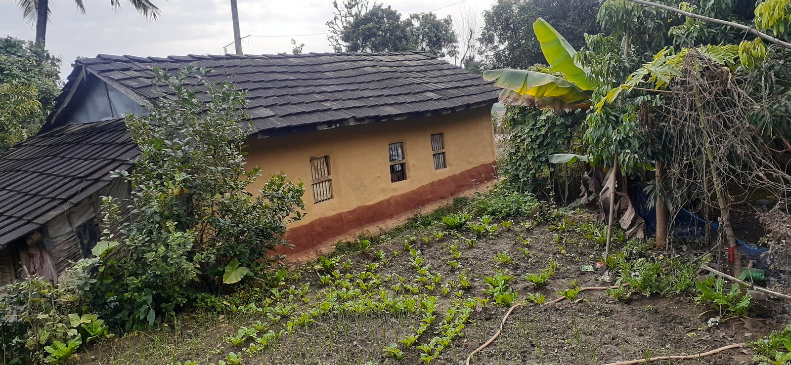 mahotari r