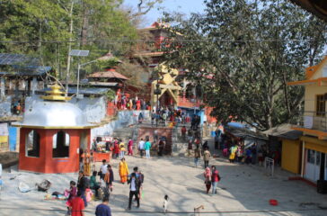 bheti-collection-1-chaita-18-chaita-photo_daman