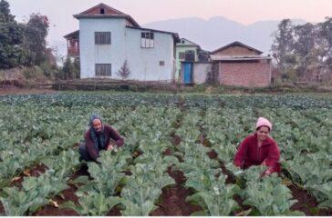 202301210750-cbb916ed-16ff-44b5-a2a6-ec9b15c50300_medium1674269488