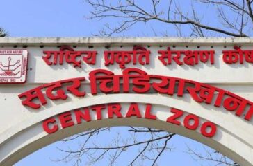 CENTRAL ZOO