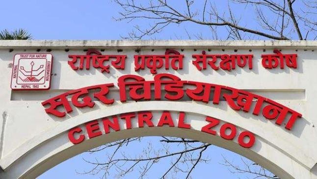 CENTRAL ZOO