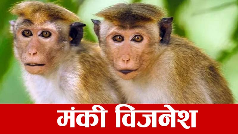 Monkey_business