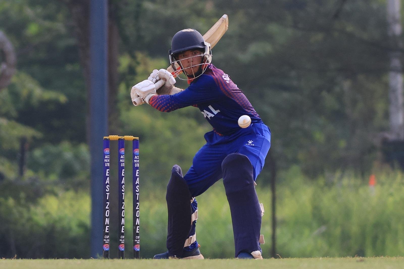 cricket cricket