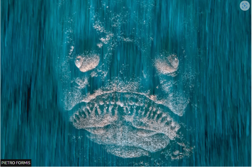 Ghost face or fish Ghost face or fish