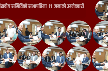 Parliament Committee