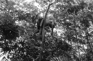 rukh-mai-mrityu-jhapa