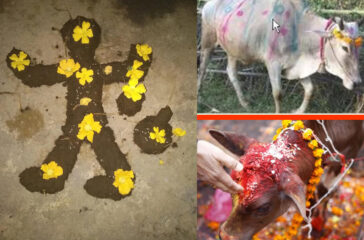 1807394295GOvardhan-final