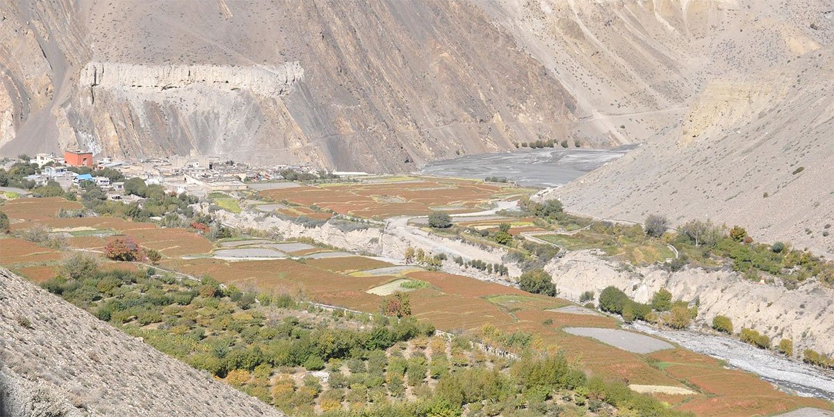 Mustang_travels Mustang_travels