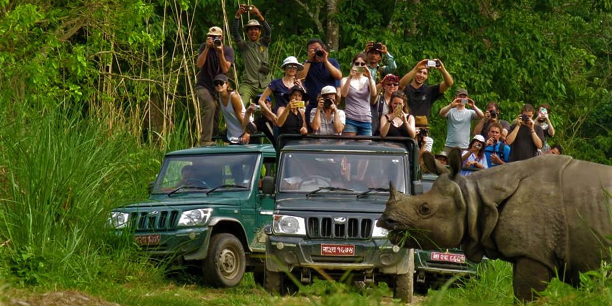jeep-safari-in-chitwan-national-park