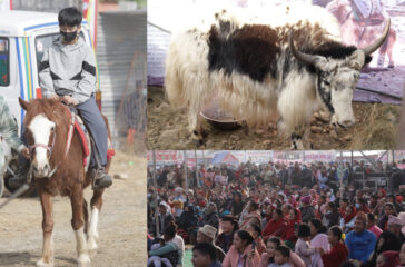 pokhara mahotsav news photo