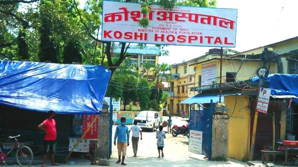 Koshi Koshi