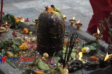 Shivaratri_Pasupati (7)