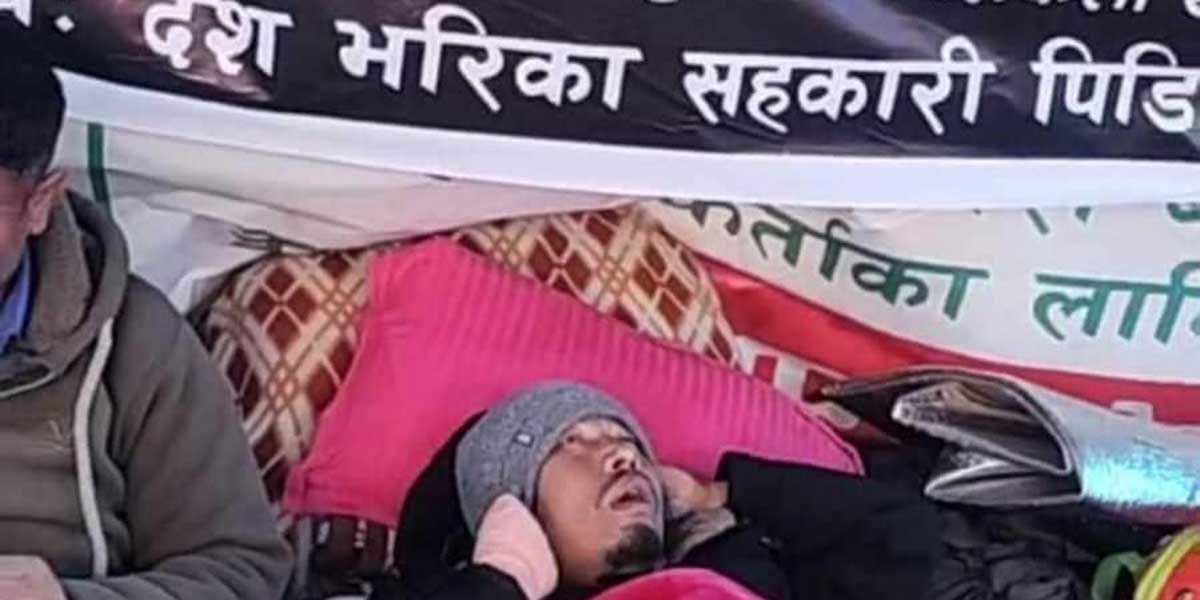 shakari shakari