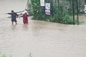 badhi