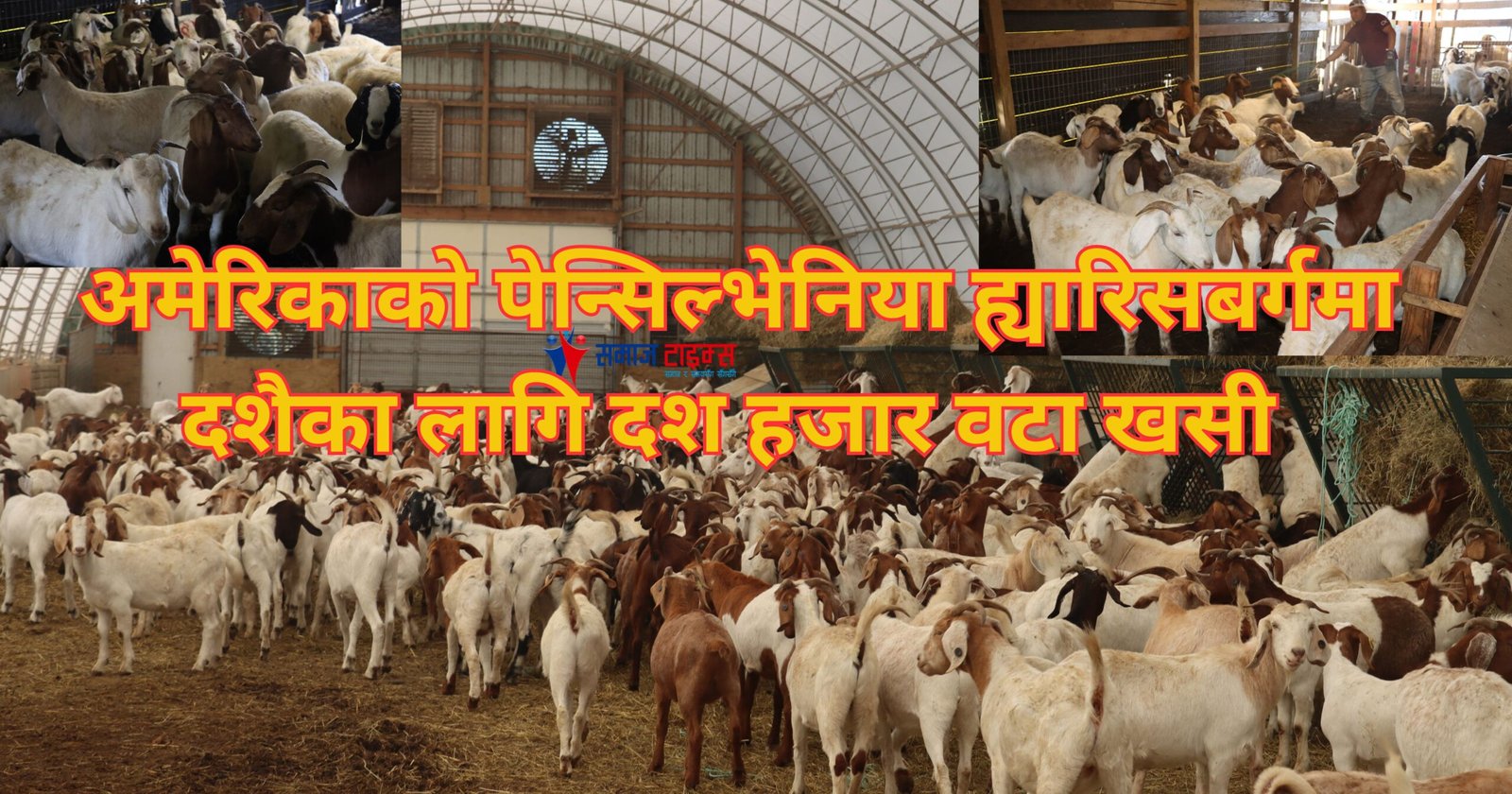 khashi up