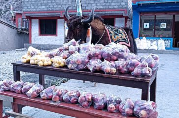 apple