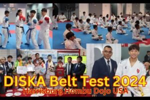 डिस्का बेल्ट ग्रेडिङ