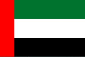uae flag