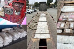 CBP turns up the heat in the mountains Tecate Port of Entry seizes