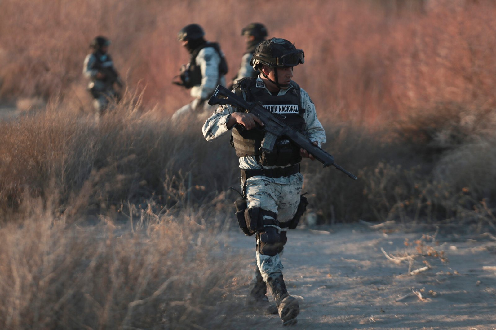 Mexico National Guard Border