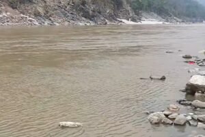 saptakoshi