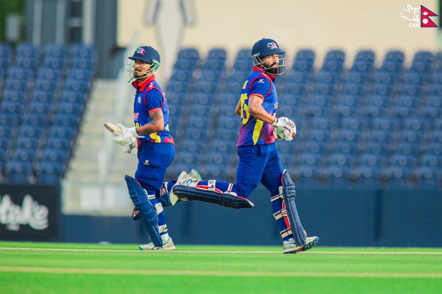 cricket cricket