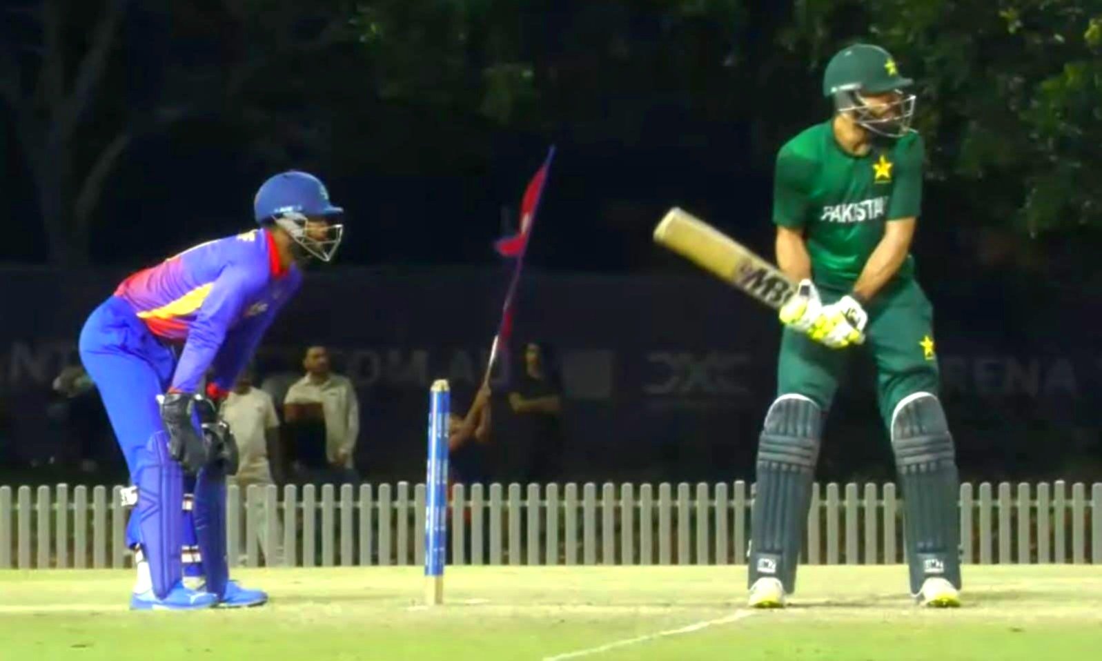 cricket cricket