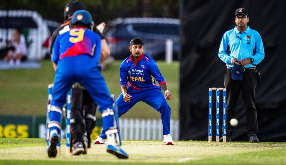 cricket cricket