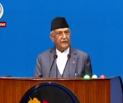 Pm Oli