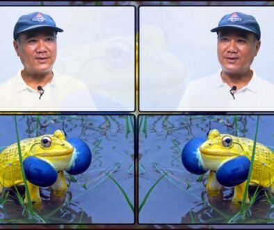 Web Post