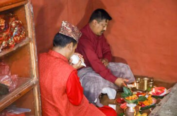 Jamara is kept at the Dashain house of Hanuman Dhoka in Basantapur