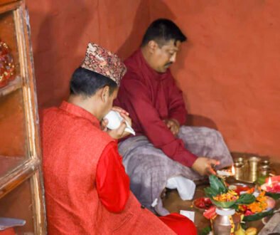 Jamara is kept at the Dashain house of Hanuman Dhoka in Basantapur