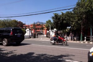Photo (11)