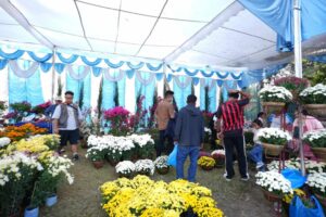 Flower Fair