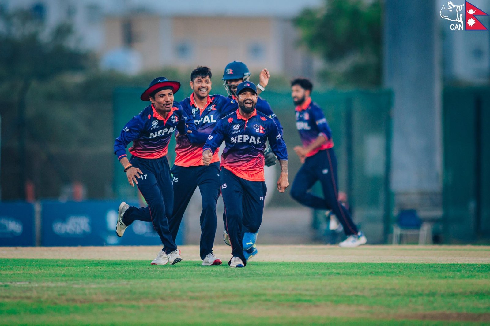 cricket cricket