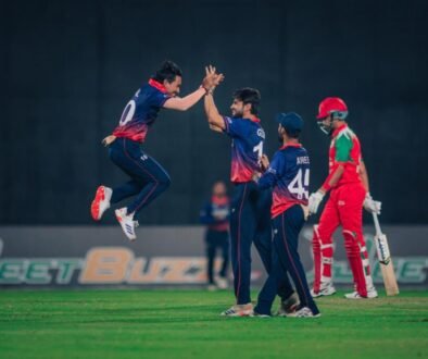 cricket t 20 q