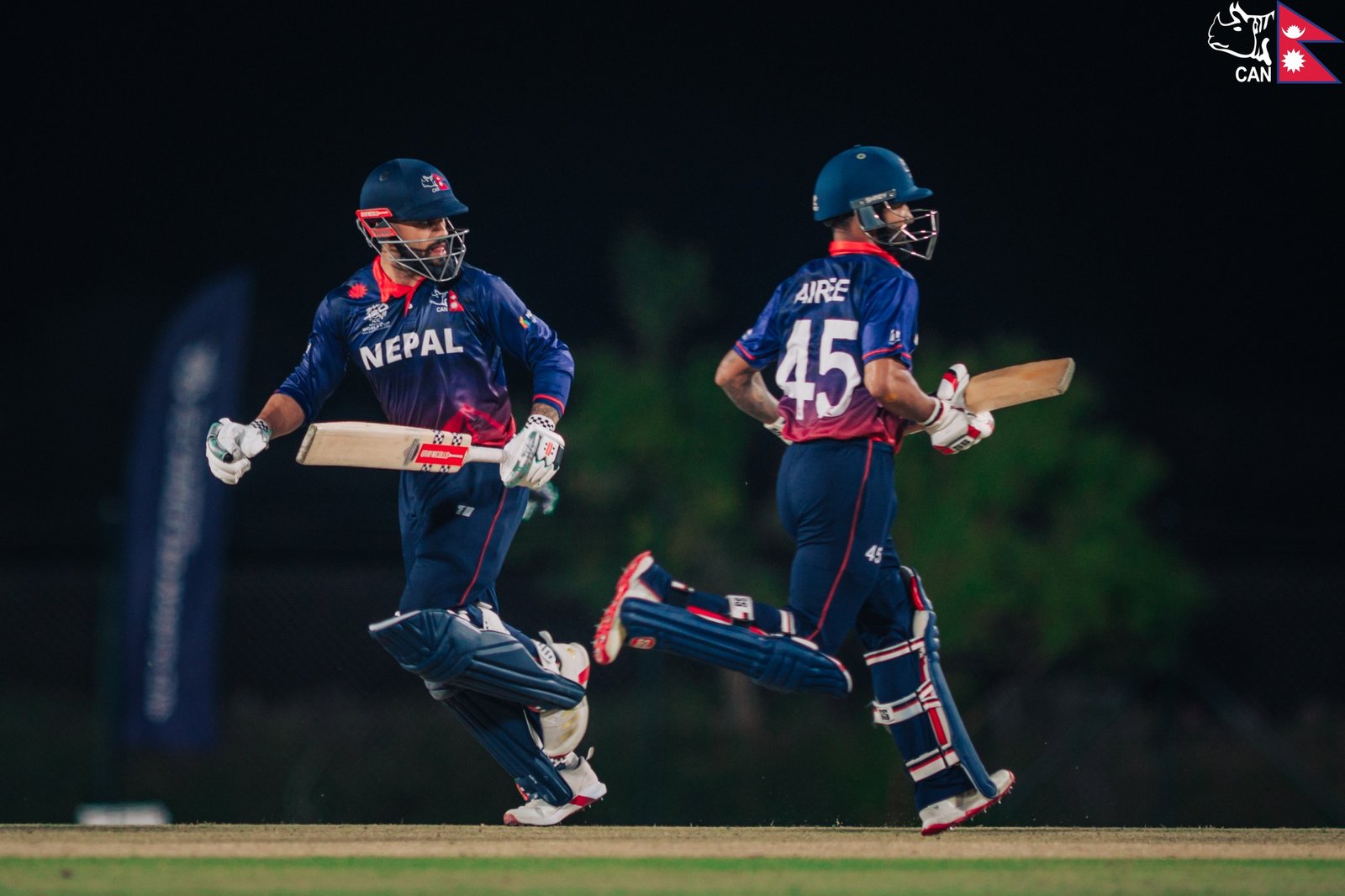 cricket cricket