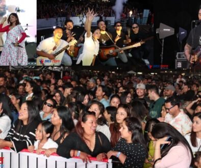 dt fest