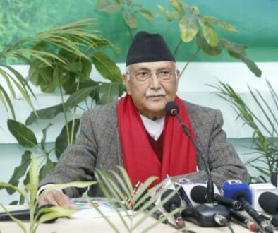 kp oli