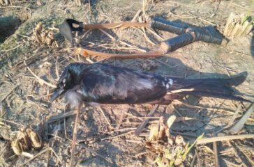 WhatsApp Image 2026-01-10 at 07.57.57