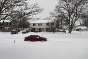 WhatsApp Image 2026-01-25 at 11.14.33