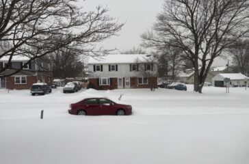 WhatsApp Image 2026-01-25 at 11.14.33