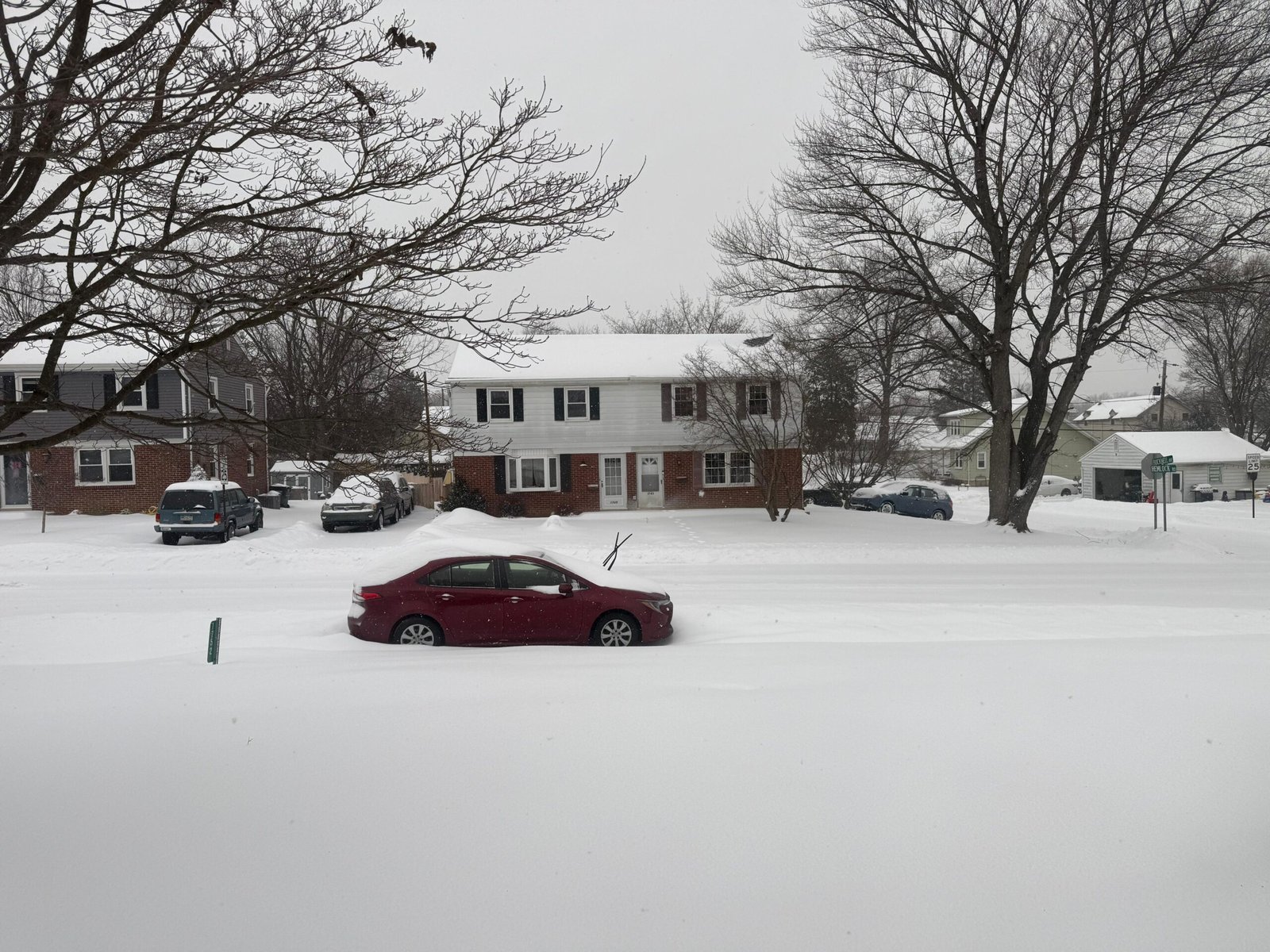 WhatsApp Image 2026-01-25 at 11.14.33