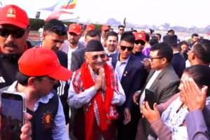 kp oli