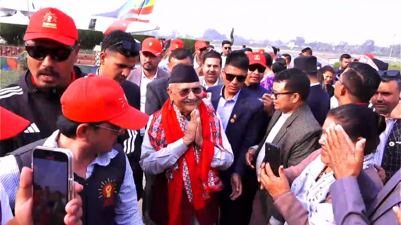 kp oli