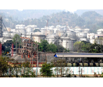 ani-20260320024648_224bc77a