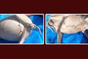 web-post-zone-1920-x-1080-px_978adc14