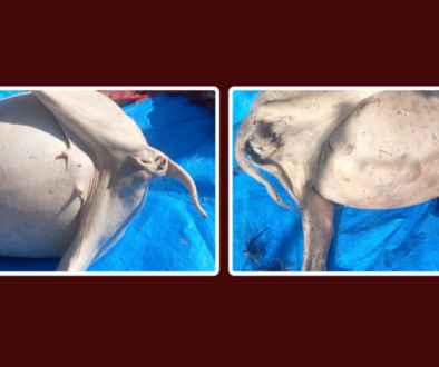 web-post-zone-1920-x-1080-px_978adc14